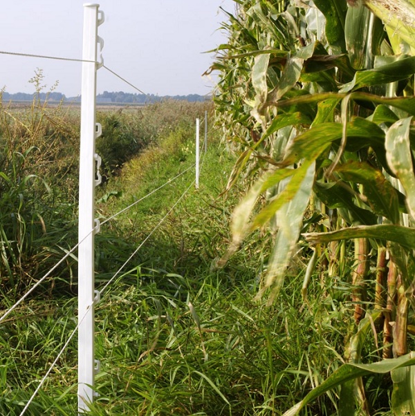 Palo Di Terra Zincato Per Recinzione &ndash; 0,3m X 12x12mm &ndash; Lacme Alta Qualit&agrave;